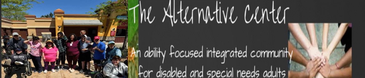 The Alternative Center